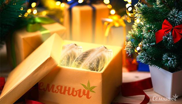Новогодняя акция от Семяныча
