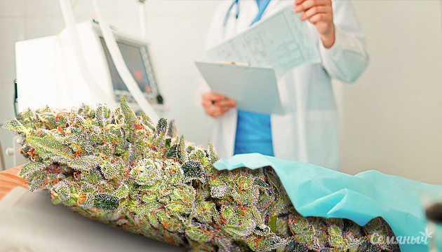 Восстановление после операций с попощью каннабиса