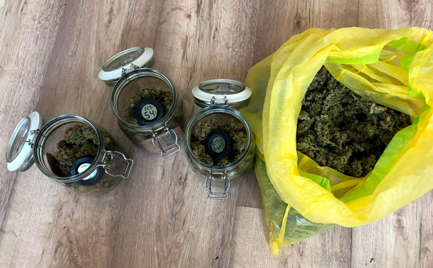 311 грамм сухих шишек