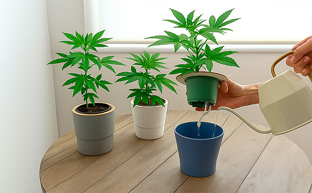 Фитильная гидропоника для начинающих