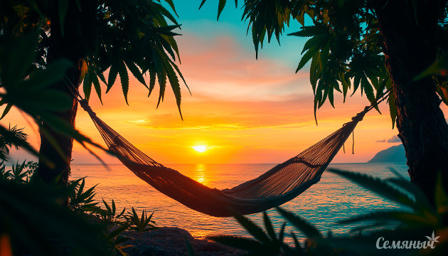 День релакса