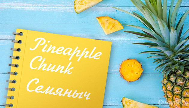 Выращивание сорта конопли Pineapple Chunk в грунте