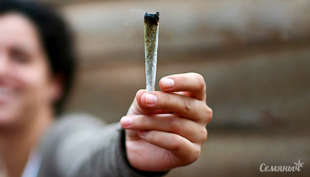 Дегустация марихуаны