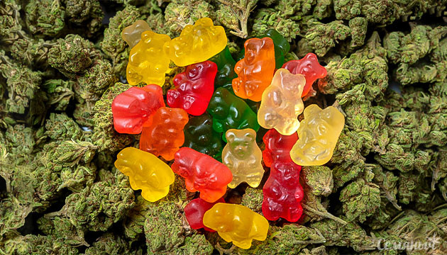 Шишки конопли и мармеладные мишки