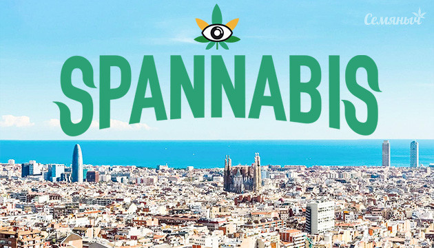 Spannabis - крупнейший канна-фестиваль Европы: Победители