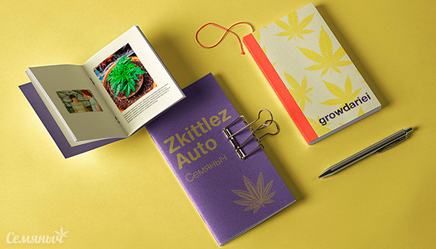 Гроурепорт по выращиванию сорта Zkittlez Auto