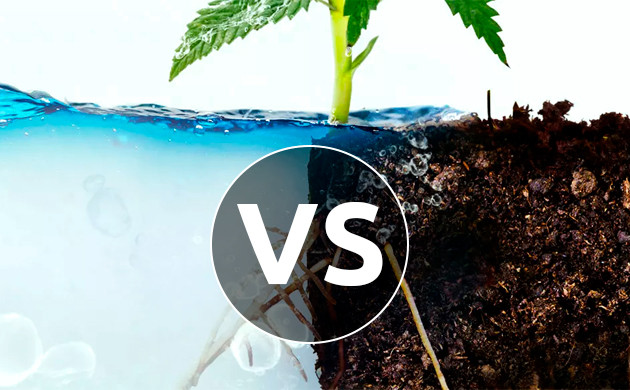 Выбор между грунтом и гидропоникой