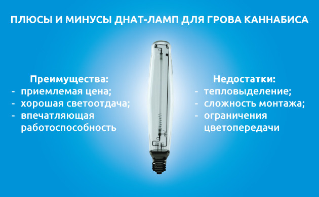 ДНаТ-лампы для выращивания конопли: плюсы и минусы