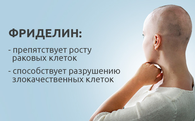 Фриделин при онкологии Свойства фриделина при раке