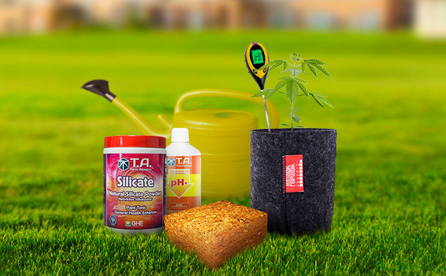 Подкормка кустов каннабиса на кокосе