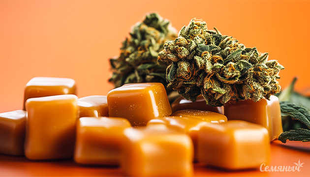 Марихуана и сладости: мифы и реальность