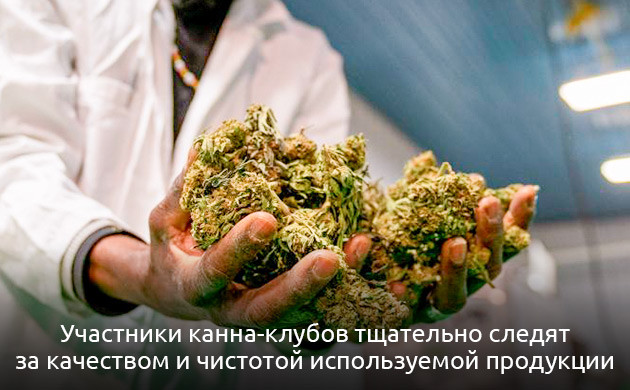 Сравнение клубов и кофешопов по доступности и качеству