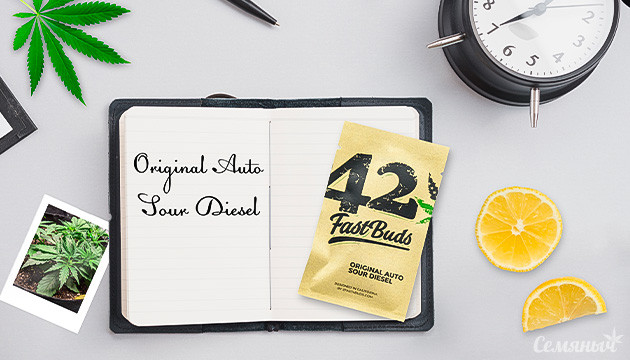 Гроурепорт сорта марихуаны Original Auto Sour Diesel