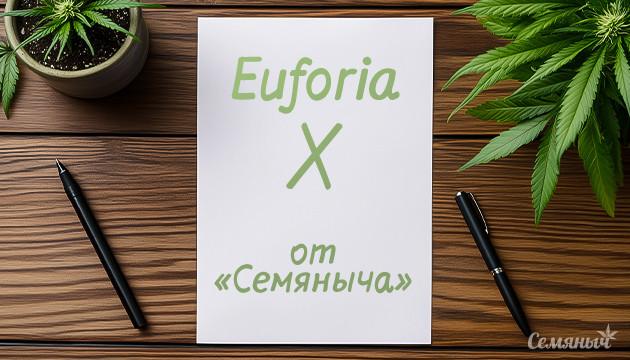 Почему я выбрал Euforia X