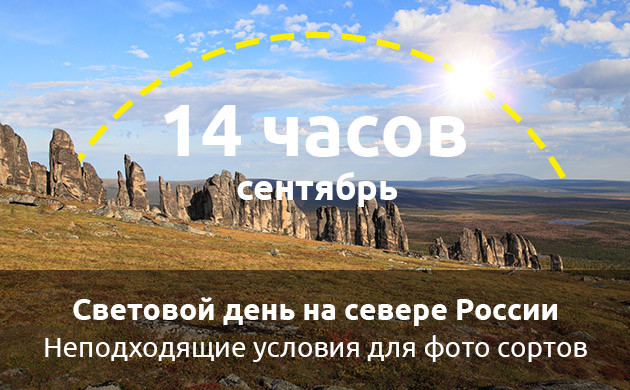 Переход в фазу цветения на севере России в сентябре