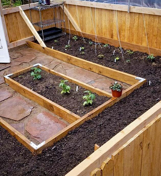 Gorilla Glue #4 — подготовка рассады весной