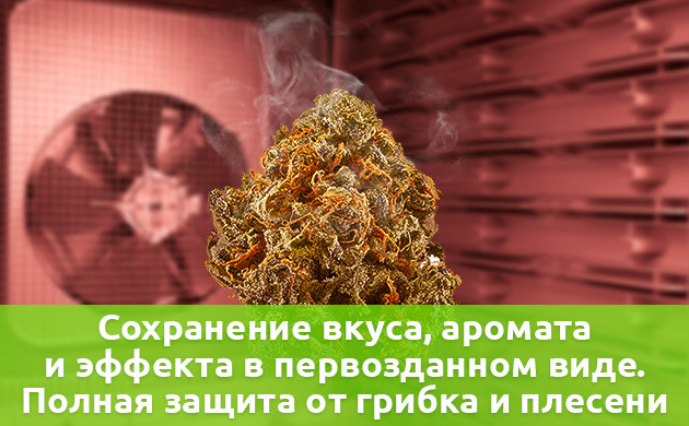 Сохранение вкуса и аромата, защита от плесени