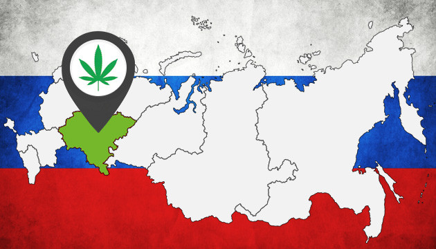 Сорта для выращивания в аутдоре в Приволжском округе РФ