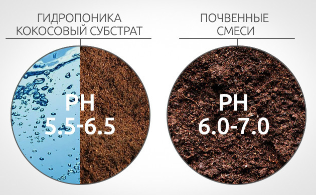 Уровень pH раствора ферментов