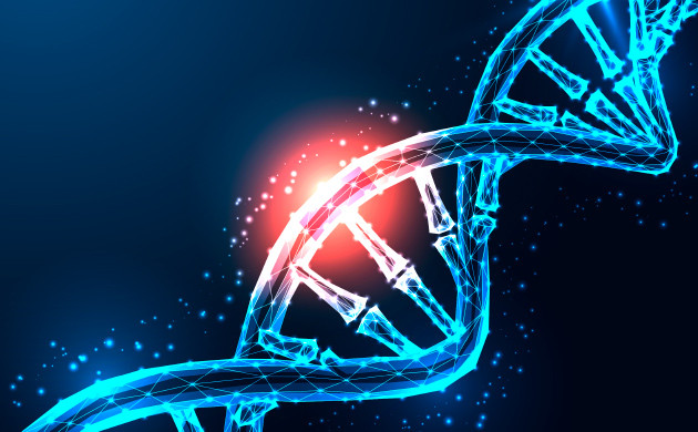 Процесс мутации конопли
