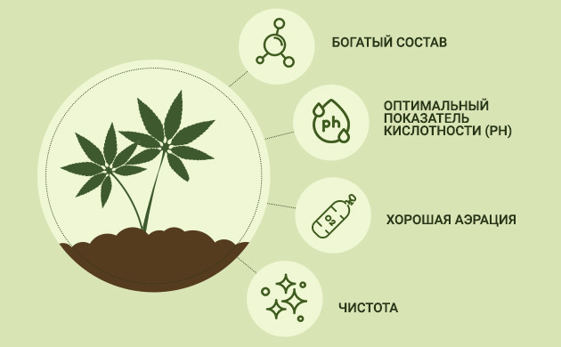 Критерии для выбора грунта для каннабиса