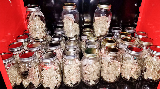 Впечатления от сорта LSD