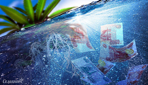 Недорогая гидропонная система своими руками