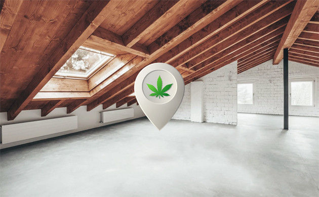 Выращивание каннабиса на чердаке