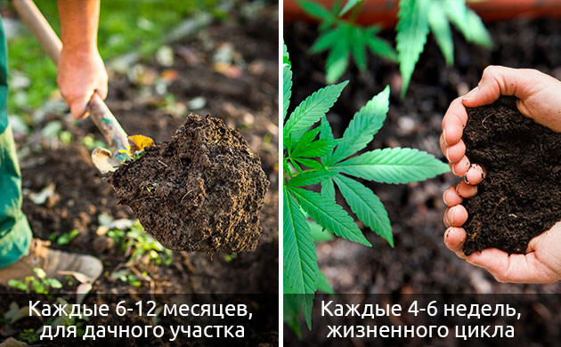 Частота внесения добавок в живую почву