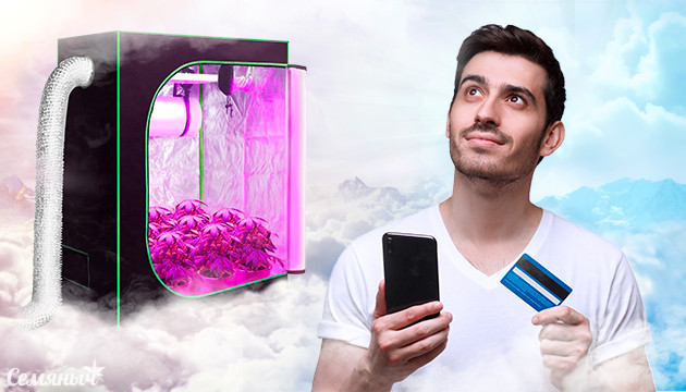 Тест гроубокс мечты