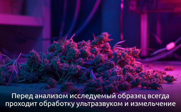 Важность гомогенизации для анализа