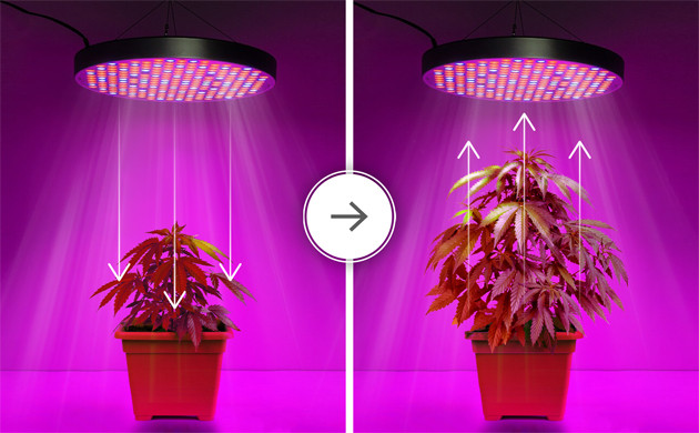 Преимущества светильников полного спектра