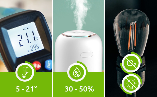 Требования для правильной пролечки