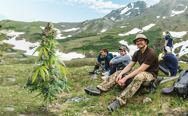 Охотники за ландрейсами