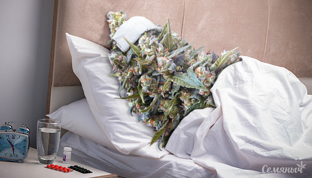 Самые распространенные болезни марихуаны