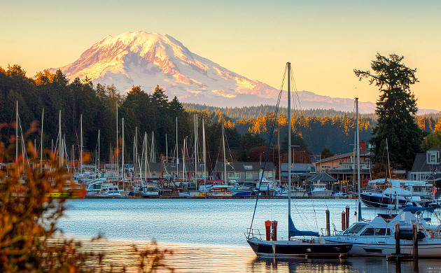 Происхождение сорта конопли Grape Ape