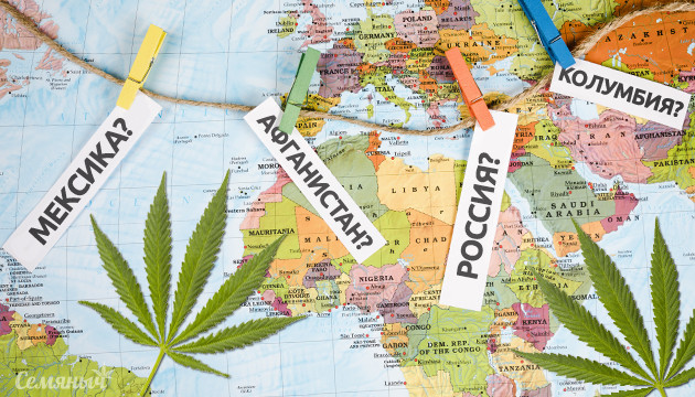 Где растёт марихуана