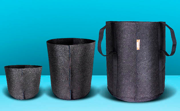 Слишком маленький горшок для авто сорта марихуаны