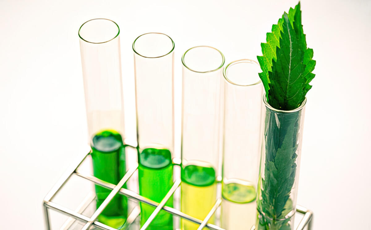 Химический профиль терпенов каннабиса