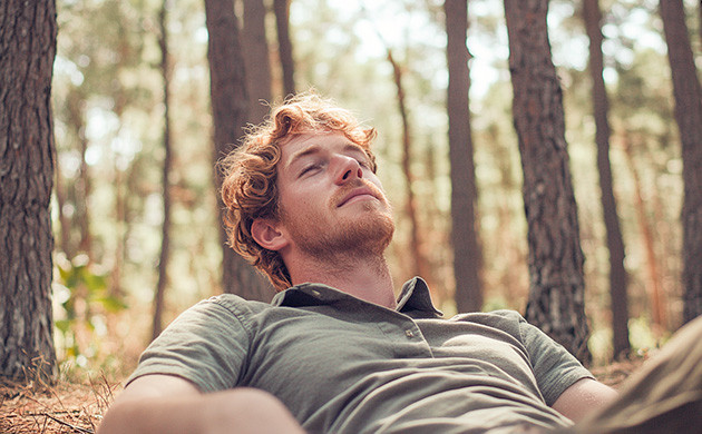 Исследования анксиолитических эффектов