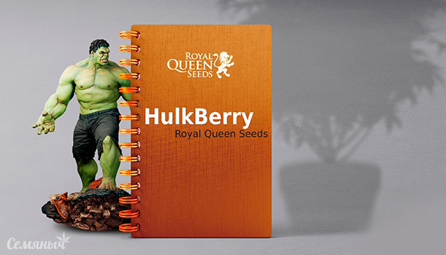 Выращивание сорта HulkBerry