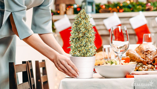 Праздничный стол и конопля