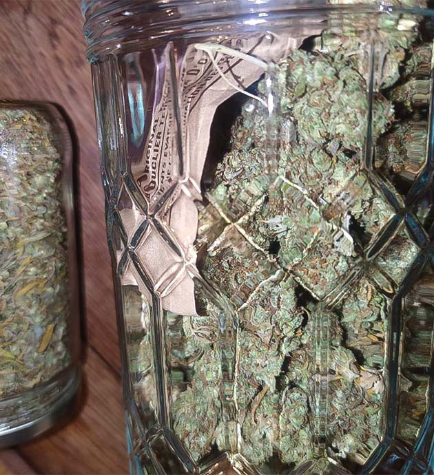 Gorilla: результаты и впечатления