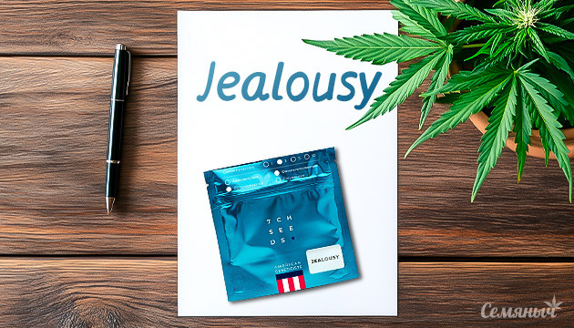 Сорт конопли Jealousy