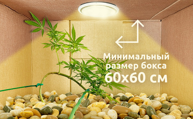 Максимальная размер гроубокса при микрогровинге