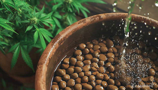 Керамзит: идеальный выбор для гидропоники