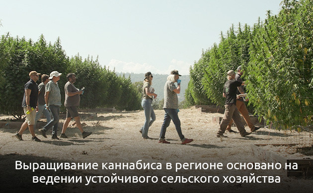 Как закон изменил жизнь Гумбольдта