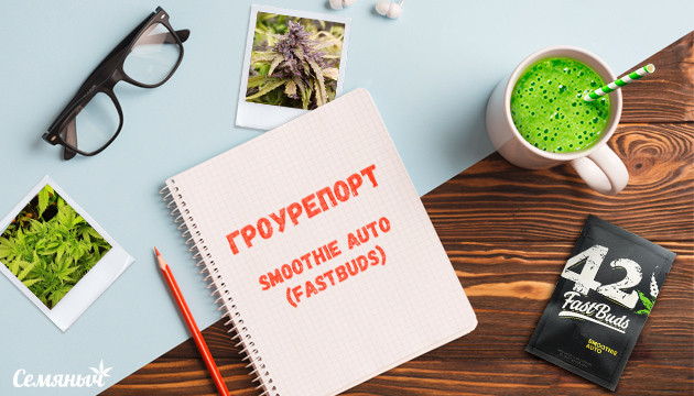Гроурепорт сорта марихуаны Smoothie Auto