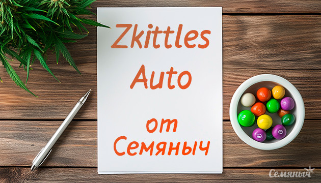 Гроурепорт по выращиванию сорта Zkittlez Auto