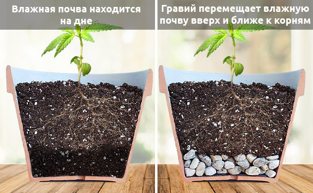 Дренаж для поддержания комфортной влажности субстрата Оптимальны отток воды с помощью дренажа